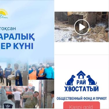 "Хвостатый рай"