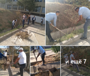 Қазыбек би атындағы №36 жалпы орта білім беретін мектебінің ұжымы бүгінгі күні мектеп ауласында сенбілік жұмыстарын жүргізді.