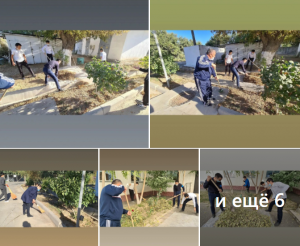 Бүгін сенбі күні Қазыбек би атындағы №36  жалпы орта білім беретін атындағы мектебінде  әдістемелік бірлестіктерінің мұғалімдері  сенбілікке шықты